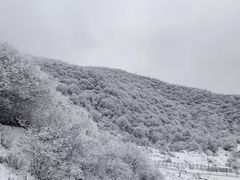-太子岭滑雪场