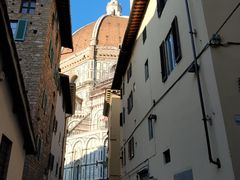 -圣母百花大教堂穹顶