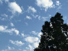 -阿嬷手作(深圳万象天地店)