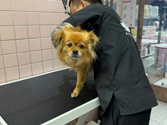 -FAELING PETS美天灵宠物(富力广场店)