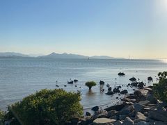 -深圳湾公园(南山区)
