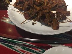 -新疆伏拉沃餐厅(白龙南路店)