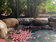 -厦门日月谷温泉渡假村