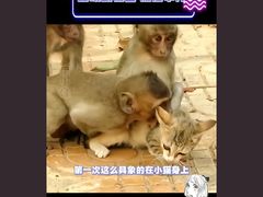 -昆明动物园