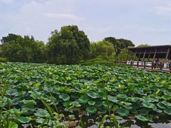 -长兴太湖图影湿地文化园