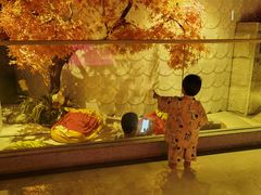 -东吴水韵(吴中店)