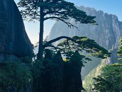 -黄山风景区