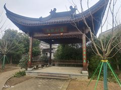 -新建村梅花