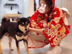 -柴迷FANS CLUB·柴犬狗咖·猫咖