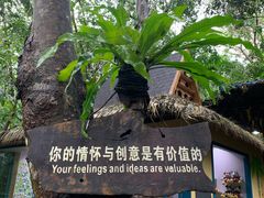 -呀诺达热带雨林