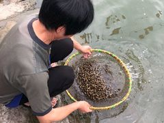 -晓琦农家菜馆·地道农家菜