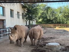 -鄂尔多斯野生动物园