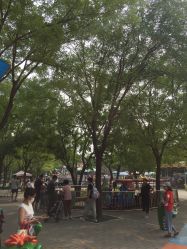 -大望京儿童游乐场