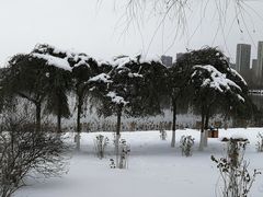 -丁香湖公园