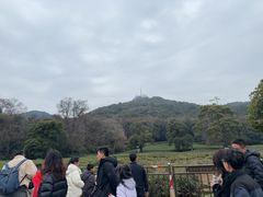 -灵顺寺