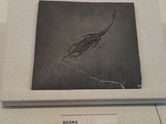 -贵州省博物馆(新馆)