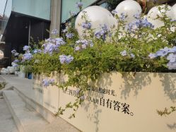 -Dr.U博士医疗美容医院