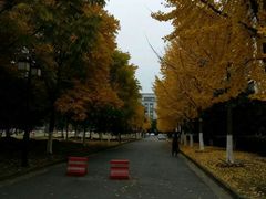 -江南大学(蠡湖校区)