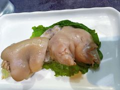 -丁老爷子苏香圆