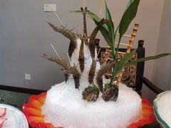 -文涵小院·邻里厨房