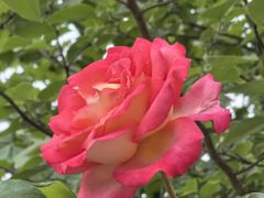 -太阳宫公园