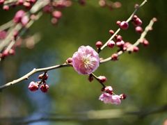 -莘庄公园