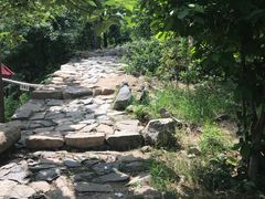-北京鹫峰国家森林公园