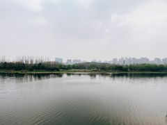 -滨湖塘西河公园