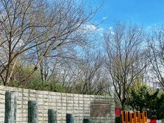 -丰台科技园生态主题公园