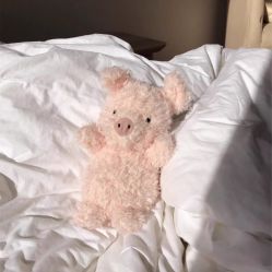 -鹰巢鹰趣·Jellycat LIV Heart丽芙之心·棉花娃娃亲子(亮马桥店)