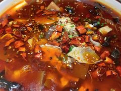 -雲蜀龙阁·金牌水煮鱼(方庄店)