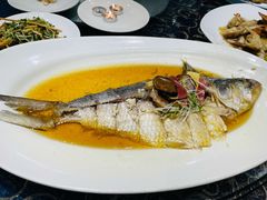 清蒸鲥鱼-美林阁