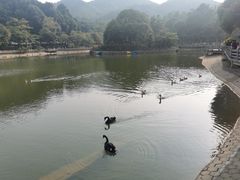 -广州市帽峰山景区