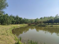 -东郊湿地公园