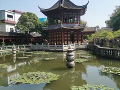 -碧江金楼