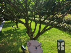 -南宁荔园维景国际酒店·荔园中餐厅