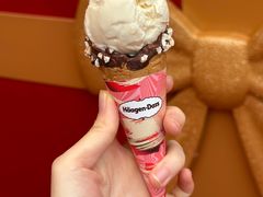 -哈根达斯(SM店)