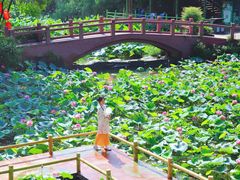 -广州莲花山旅游区