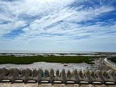 -南汇嘴观海公园