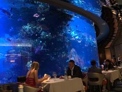 -迪拜帆船酒店海底餐厅
