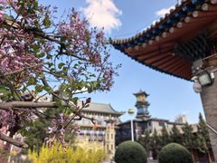 -西宁市东关清真大寺
