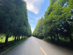-山王坪喀斯特国家生态公园