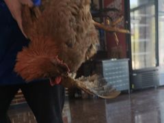 -北京龙庆四季香农家饭庄·灶台鱼·碳烤虹鳟鱼(龙庆峡店)