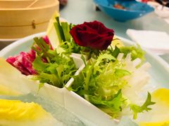 -北国之春国宴(乌兰察布店)