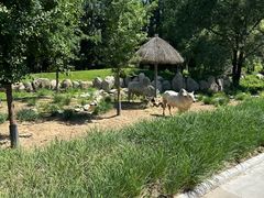 -北京野生动物园