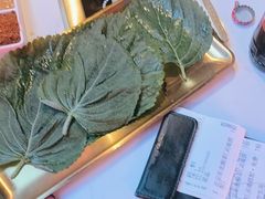 -杨记齐齐哈尔烤肉(总店)