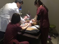 -美联众合动物医院·24h转诊中心