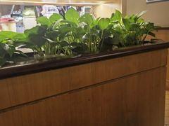 -COSTA COFFEE(新奥购物中心店)