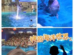 -威海华夏城景区