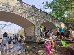-重庆彩云湖湿地公园